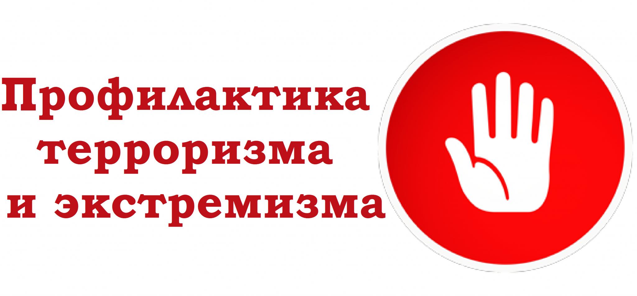 Мероприятия по противодействию идеологии терроризма и идеям неонацизма.