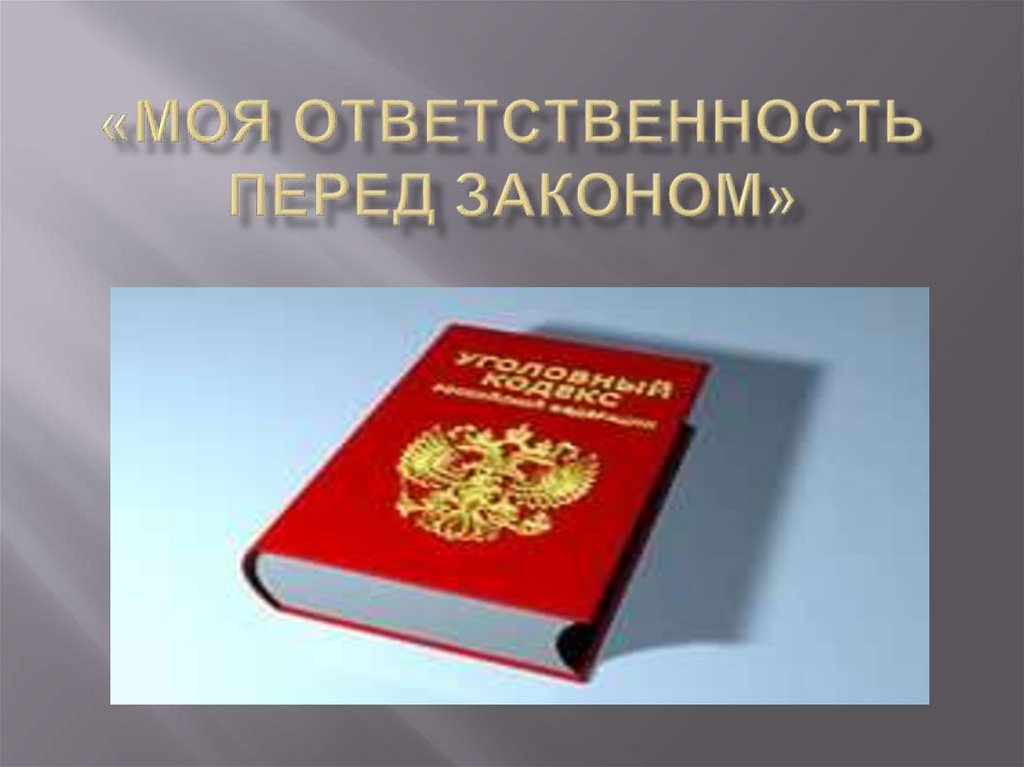 «Высокая ответственность перед законом».